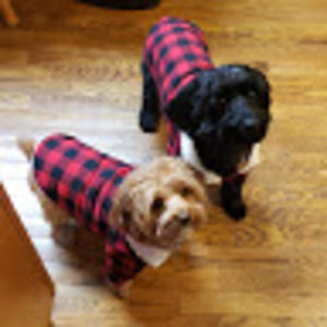 Meet your Posher, Tim